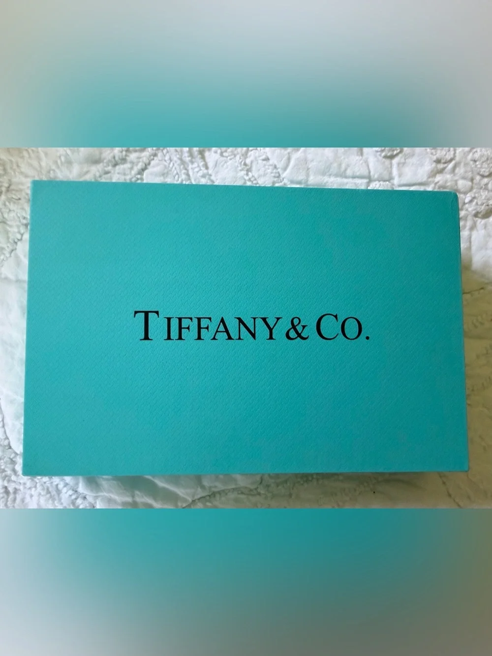Set of 12 Tiffany & Co Fashion Makeup Brushes NEW in Branded Iridescent Box